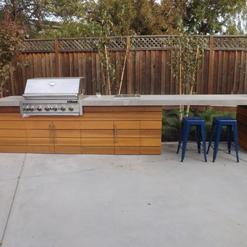 Willow Glen