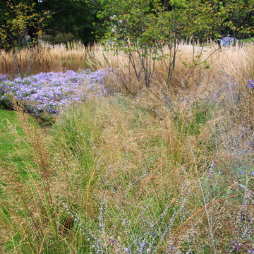 Griffiths Gardens