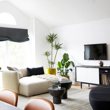 Contemporary Living Room