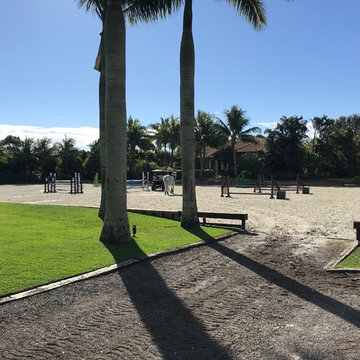 Equestrian landscape - Palm Beach Point