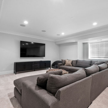 Basement TV Area