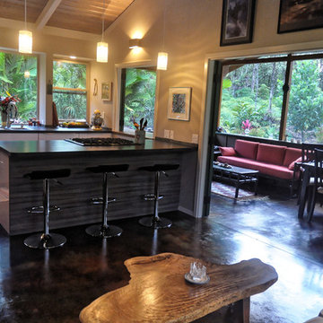 Big Island Jungle Meets Scandinavian Design