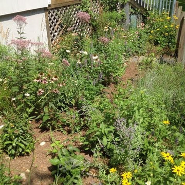 Summer to Fall - The Power of Perennial Gardens