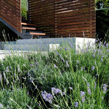 flower garden