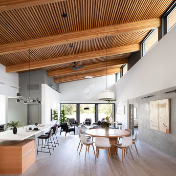Curio Residence