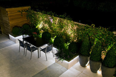 Inspiration for a contemporary garden in London.