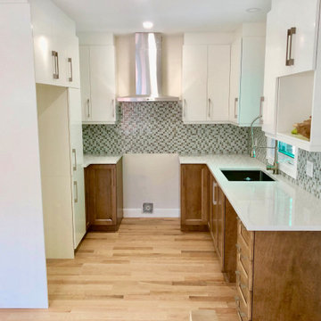 Turn Key Home Renovation in Montreal
