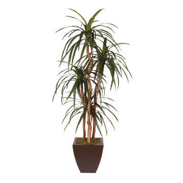 Silk Yucca Tree With Natural Wood Trunks in Metal Pot
