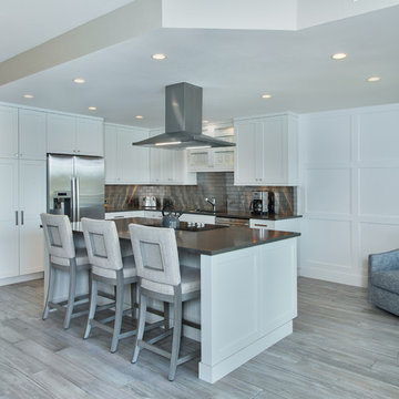 Contemporary Kitchen Remodel on Gulf Shore Blvd. in Naples, FL