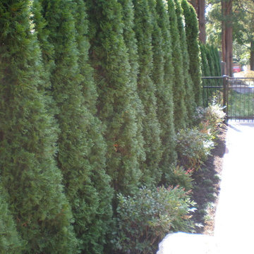 Roland Park Projects