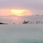 Sandrine Goubert's photo