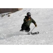 Pierre Kamber's photo