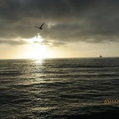 Mike Sullivans foto