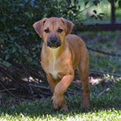 Tracy Cyr's photo