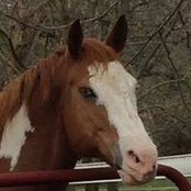 Foto von Dianne Warbinton
