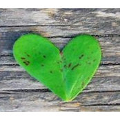 Elizabeth Payne's photo