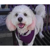 Myra Anderson's photo