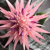 Saretta Kessler's photo