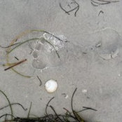 Foto von Leanne Dummer