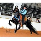 Foto von Darlene Harris