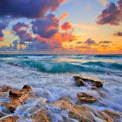 Micki Petersen's photo
