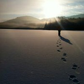 Seth Wieland's photo