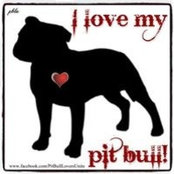Colette Froeschle's photo
