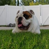 Shawn Sobieski's photo