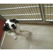 Joe Lockhart's photo