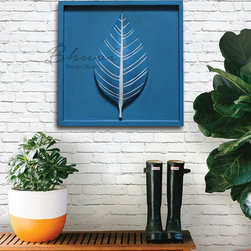 Wall Accents - Products