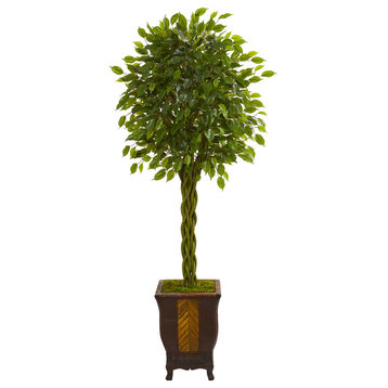 6' Braided Ficus Artificial Tree, Decorative Planter