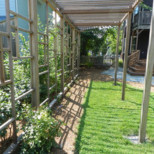Trellis