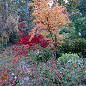 Lush and varied plantings