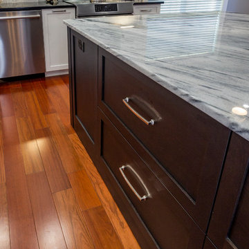 Charlotte Contemporary Kitchen