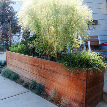 Coronado Lawn Replacement
