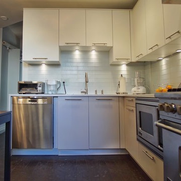 Brookine Kitchen Renovation