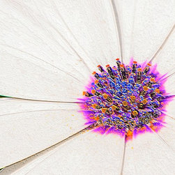Fine Art Photography - Digital paintings - Products