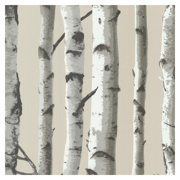 Brewster 2532-20418 Bath Bath Bath IV Irvin Grey Birch Tree Wallpaper