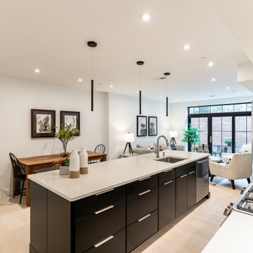Southwest DC Duplex Renovation