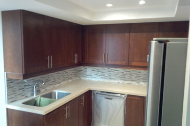 Kitchen - contemporary kitchen idea in Toronto