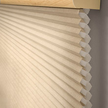 window blinds
