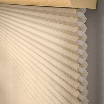 Blinds & Shades