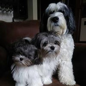 Susan Conway's photo