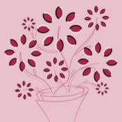 Michelle Vanelli's photo