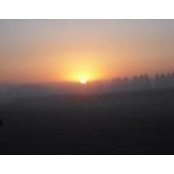 Mimi Campbell's photo