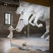 Cantemir Herghelia's photo
