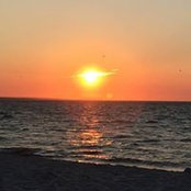 Jill Brown's photo