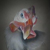 Jacqueline Mostafa's photo