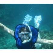 Stefani Wilson Arnesen's photo