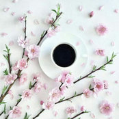 Mirzet Catovi's photo